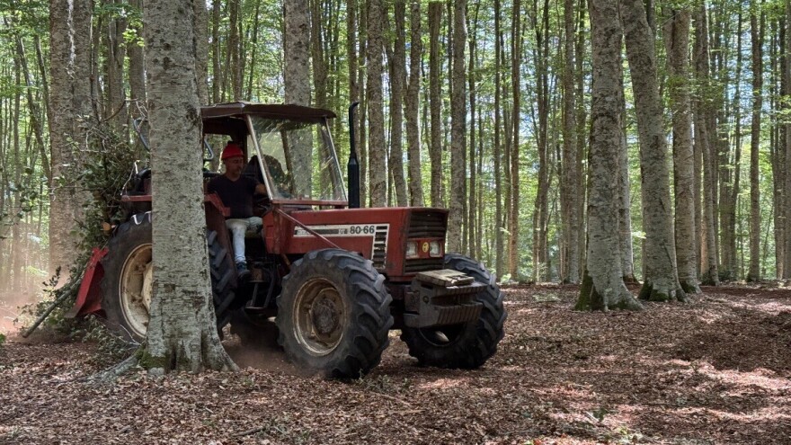 Talijani sječu mogu prilagoditi potrebama i utjecaju tržišta