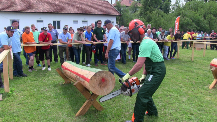 Najbolji šumari nagrađeni motornim pilama
