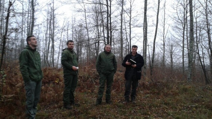 Obnova šumarija od posebne državne skrbi