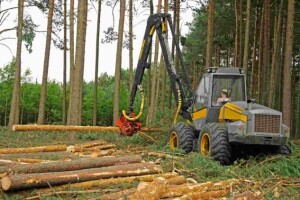 Uskoro javna rasprava o Šumarskom programu FBiH