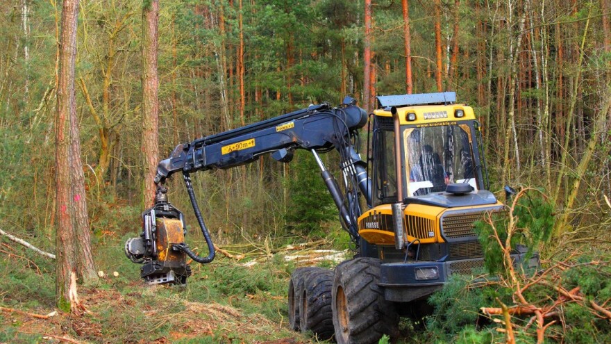 FBiH podiže upravljanje šumama na višu razinu - uvode informacioni sistem u šumarstvu