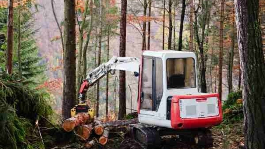 Novi uvjeti za obavljanje djelatnosti u šumarstvu