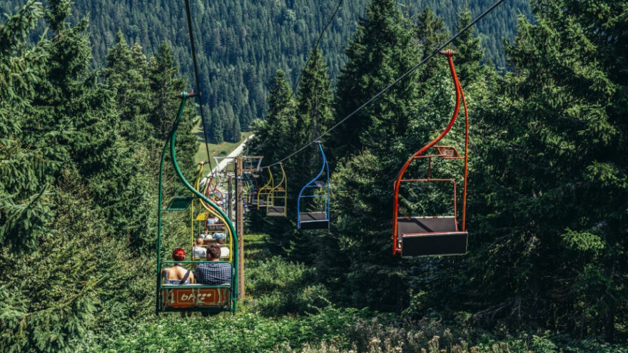 Šumarstvo mora biti strateška grana bh privrede!