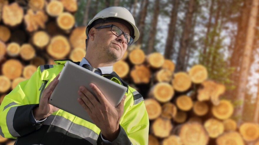 Prijedlog Zakona o šumama poslan u saborsku proceduru