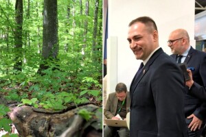 Ministarstvo uzvratilo na istragu EK: Hrvatska odgovorno gospodari drvnim resursima