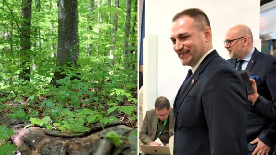 Ministarstvo uzvratilo na istragu EK: Hrvatska odgovorno gospodari drvnim resursima