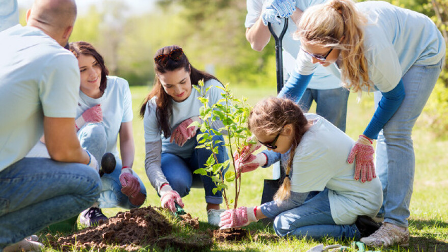 Pridružite se akciji pošumljavanja!