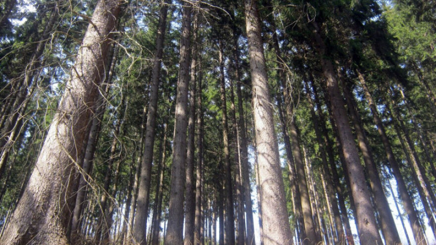 Izdaju se odluke o prihvatljivosti za operaciju 8.5.2.