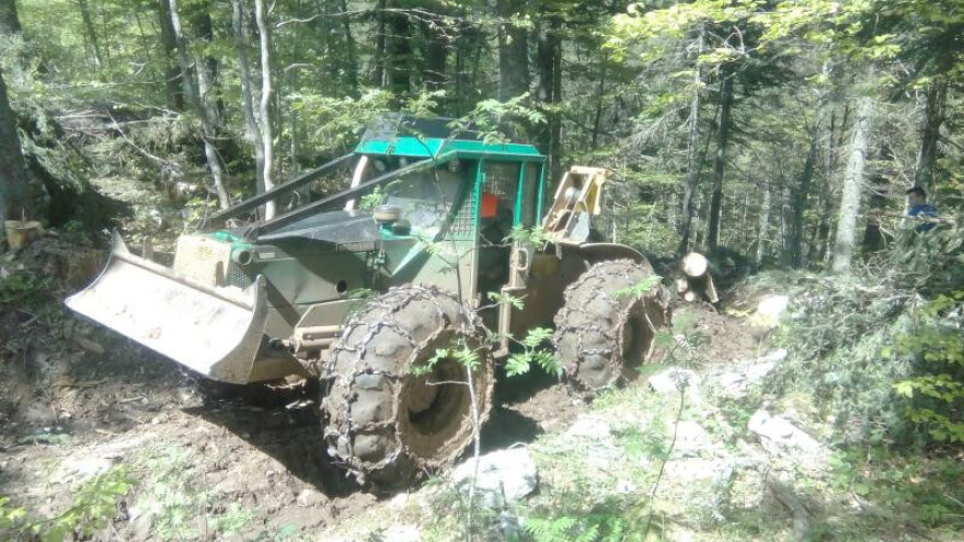 Raste izvoz drvne industrije, no ima jedan problem