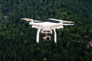 Dron može posijati 100.000 stabala dnevno?