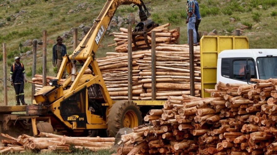 Povećana drvna proizvodnja u 2015. godini