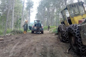 Šumarija Tomislavgrad bilježi rekordnu proizvodnju