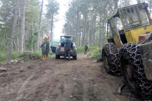 Šumarija Tomislavgrad bilježi rekordnu proizvodnju