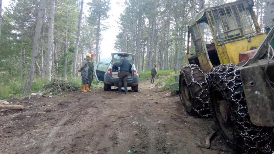 Šumarija Tomislavgrad bilježi rekordnu proizvodnju