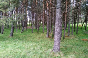 Stiglo ljeto - konačno pred nama sunčani i topli dani