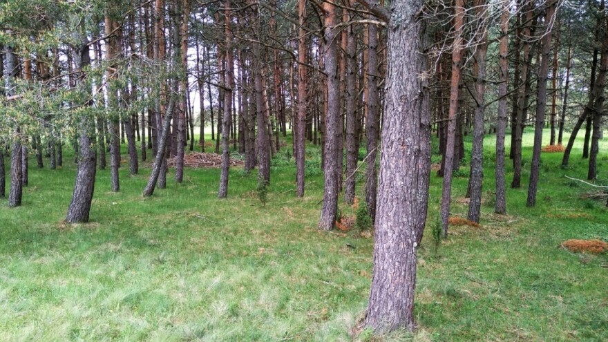 Stiglo ljeto - konačno pred nama sunčani i topli dani