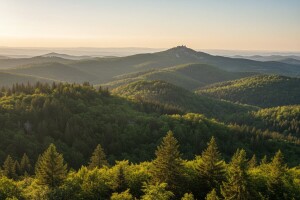 Šume knezova krčkih i dalje sjaje punim sjajem