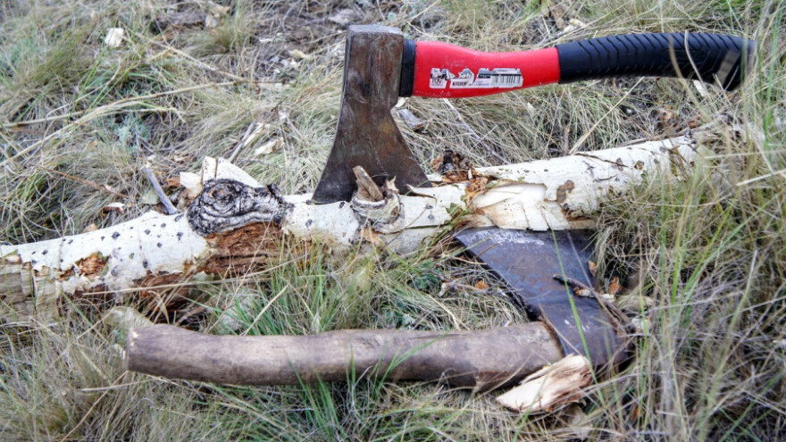 Posjekli i otuđili stabla bukve, graba, cera, hrasta, javora