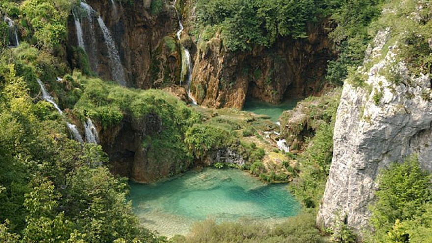 Novih 6.000 sadnica crnog bora na Veležu