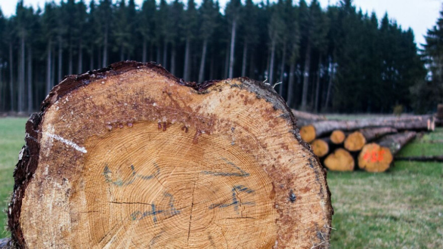Pola milijuna hektara za šume