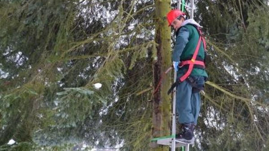 Obučeni novi berači šumskog sjemena