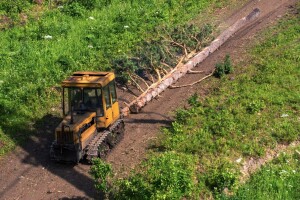 EK daje 15 miliona eura Hrvatskoj za očuvanje prirode, a 12,5 miliona eura Irskoj za potporu šumarstvu