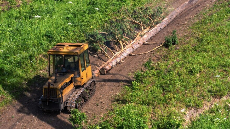 EK daje 15 miliona eura Hrvatskoj za očuvanje prirode, a 12,5 miliona eura Irskoj za potporu šumarstvu