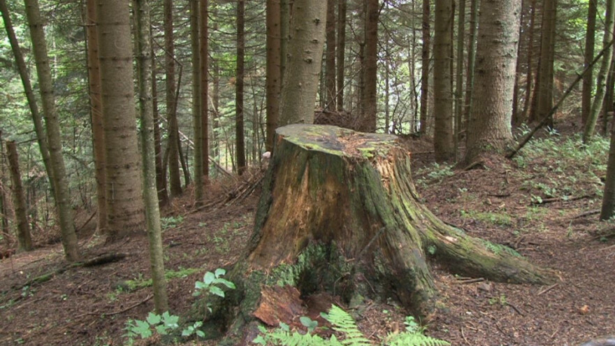 Javna rasprava o Nacrtu zakona o šumama