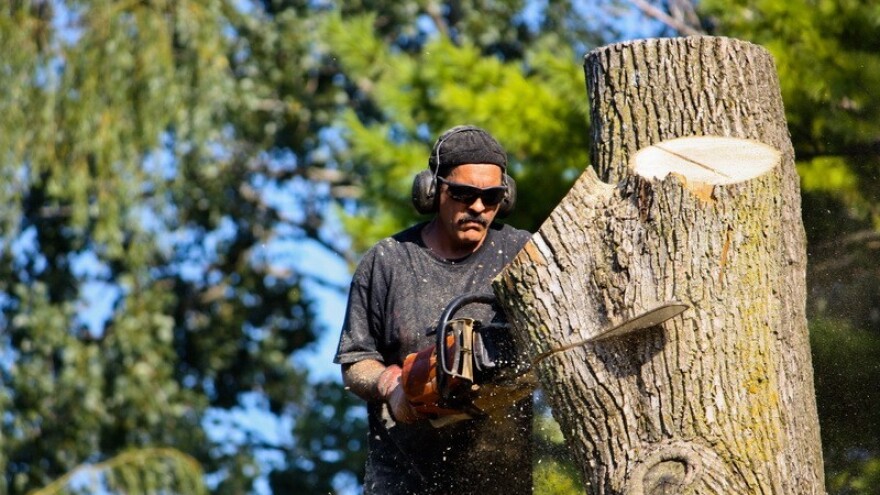 U čijoj je mjerodavnosti HR šumarstvo?