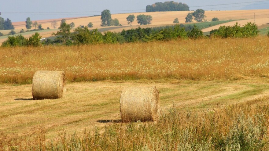 Jesmo li spremni za novi Zakon o poljoprivrednom zemljištu?
