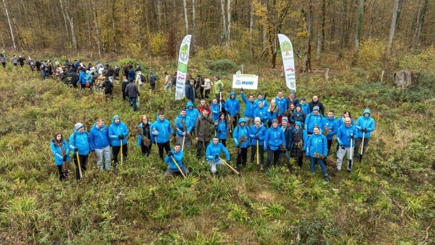 Stota akcija Šumoboraca koji su do sada posadili 156 tisuća novih stabala