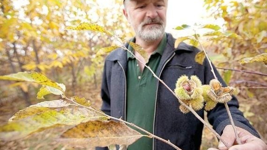 Rasprava šumoposjednika o gospodarenju šumama!