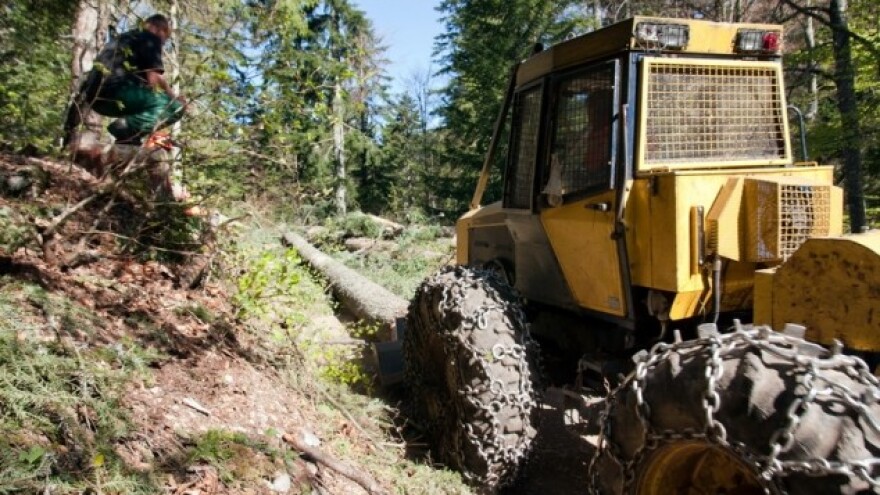 Što ruralni razvoj nudi šumoposjednicima?