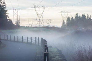 Natječaj za ulaganje u šumsku infrastrukturu