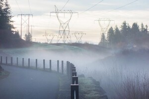 Natječaj za ulaganje u šumsku infrastrukturu