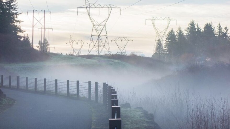 Natječaj za ulaganje u šumsku infrastrukturu