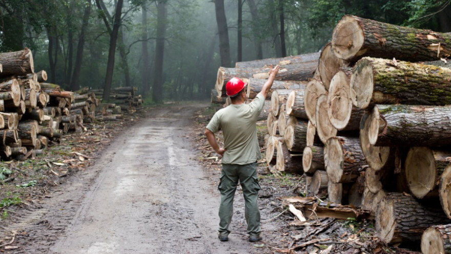 Izmjena natječaja u sklopu Mjere 8!