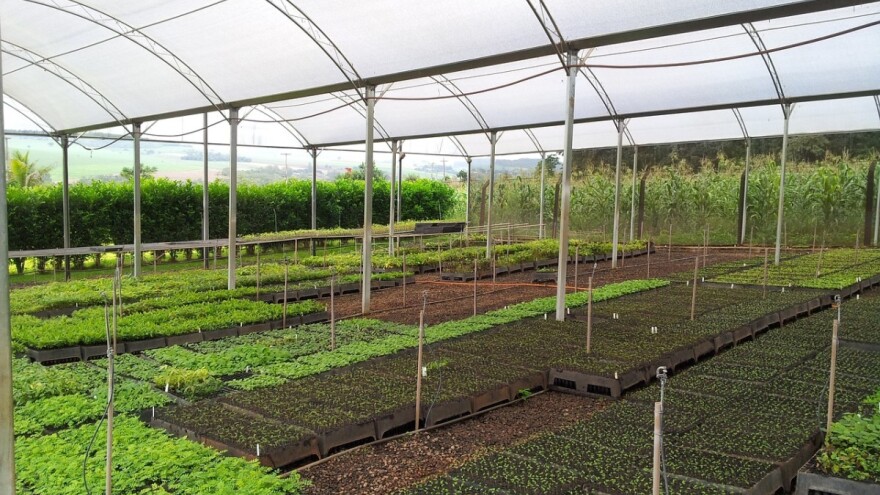 Otvorena javna rasprava o reprodukcijskom materijalu šumskog i ukrasnog drveća i grmlja