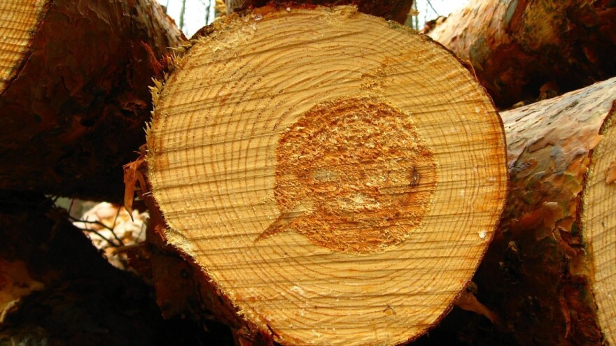 Proizvodnja šumskih sortimenata veća za gotovo 300%