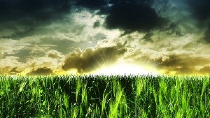 Preko trnja do državne zemlje