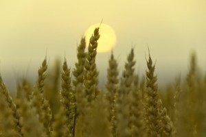 Izgledi za Hrvatsku za 22.08.2014-24.08.2014