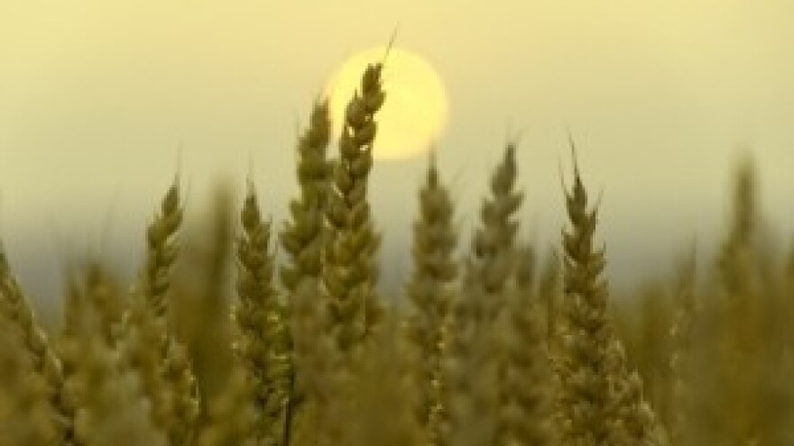 Izgledi za Hrvatsku za 22.08.2014-24.08.2014