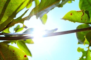 Ovu sedmicu obilježit će visoke temperature i nestabilno vrijeme