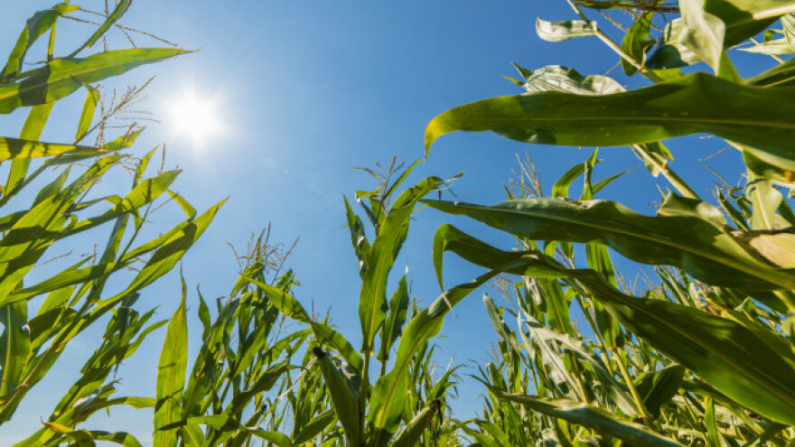 Pretežno sunčano - temperatura iznad proseka