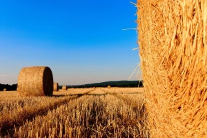 Sunčano i vruće, mogući lokalni pljuskovi