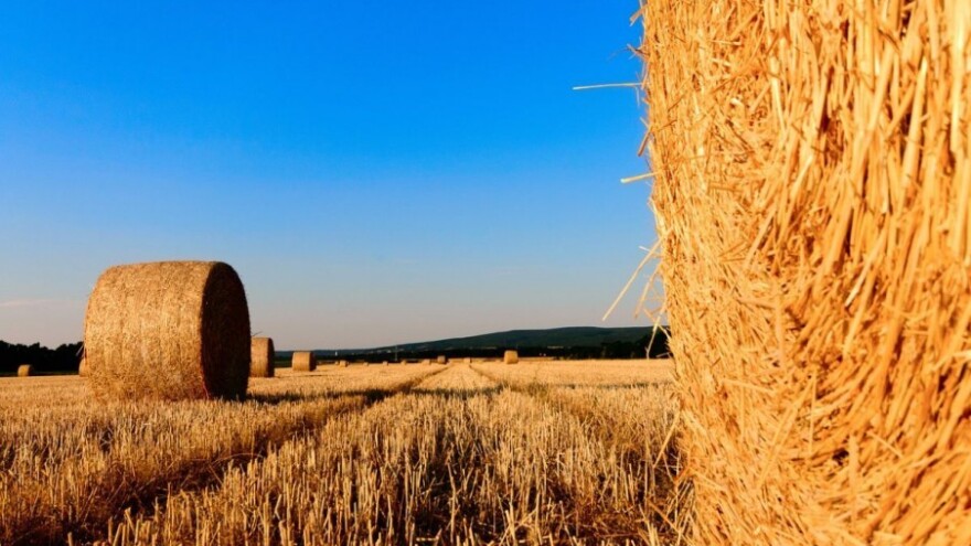 Sunčano i vruće, mogući lokalni pljuskovi