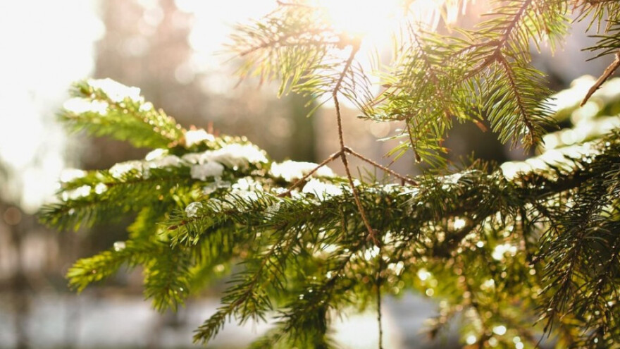 Djelomice sunčano, na zapadu mala mogućnost kiše