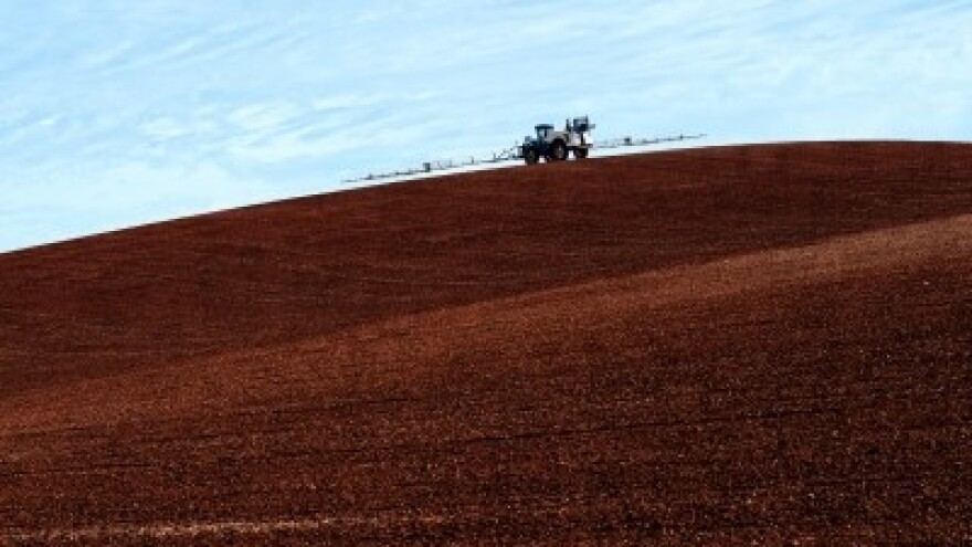 Žetva uz visoke vrućine!