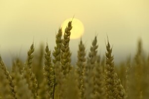 Izgledi za Hrvatsku za 09.05.2014-11.05.2014
