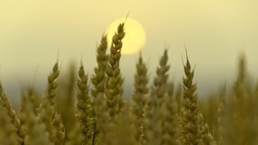 Izgledi za Hrvatsku za 09.05.2014-11.05.2014